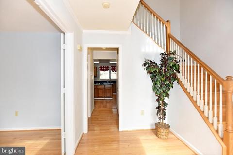 709 Pebble Beach Dr, Silver Spring, MD 20904 photo 8