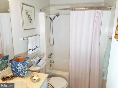 3107 Beckenham Ct #252-A, Silver Spring, MD 20906 photo 17