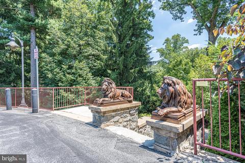 9610 Dewitt Dr #PH411, Silver Spring, MD 20910 photo 34
