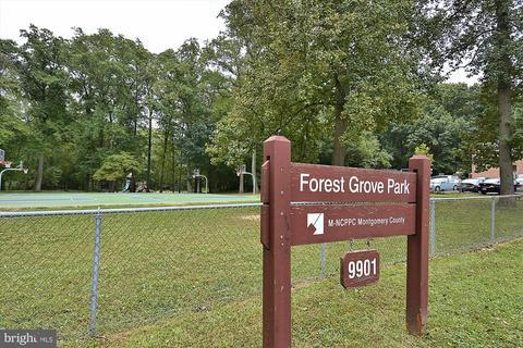 8601 Manchester Rd #313, Silver Spring, MD 20901 photo 57