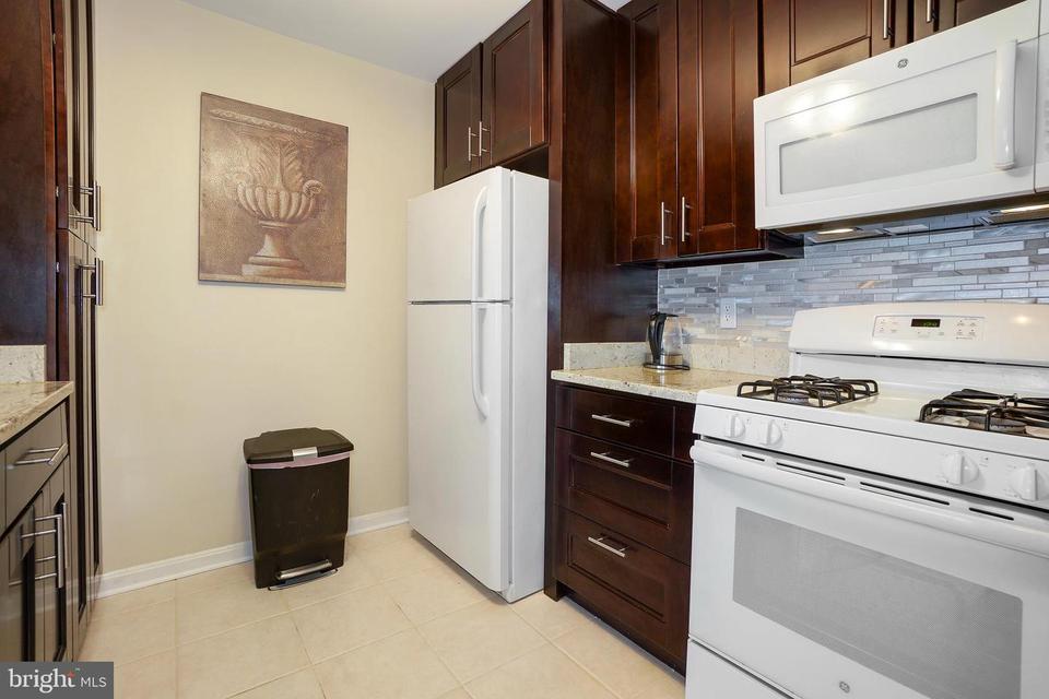  15309 Diamond Cove Ter #5-O, Rockville, MD 20850 photo 15