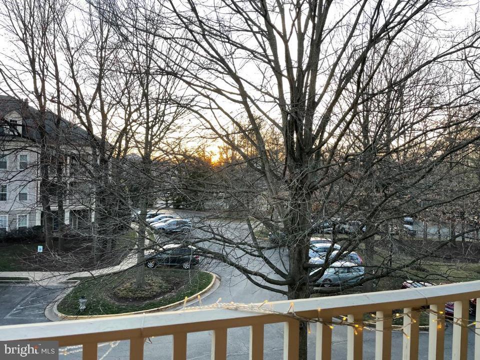  15309 Diamond Cove Ter #5-O, Rockville, MD 20850 photo 41