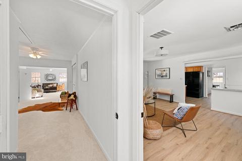 3011 Regina Dr, Silver Spring, MD 20906 photo 37