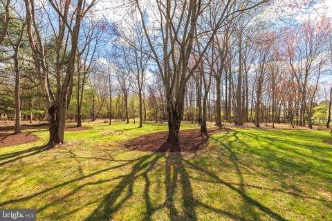 15529 Thompson Rd, Silver Spring, MD 20905 photo 56