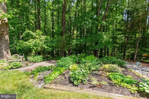 15117 Timberlake Dr, Silver Spring, MD 20905 photo 5
