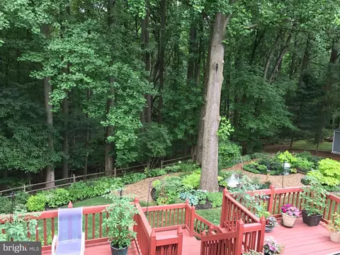 15117 Timberlake Dr, Silver Spring, MD 20905 photo 47