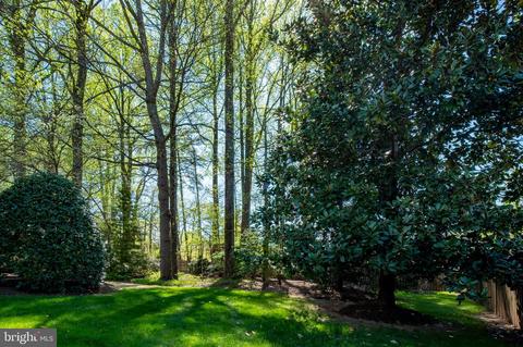 332 Soapstone Ln, Silver Spring, MD 20905 photo 43
