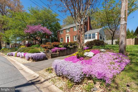 303 Brewster Ave, Silver Spring, MD 20901 photo 32