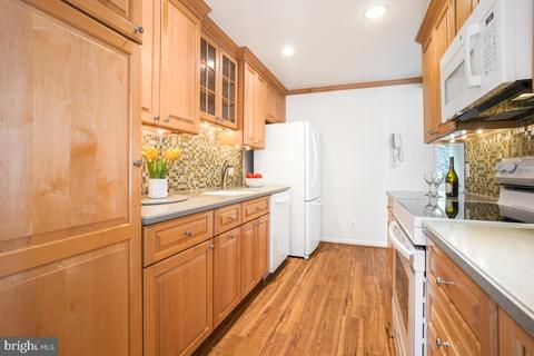 14506 Kelmscot Dr #173-A, Silver Spring, MD 20906 photo 13
