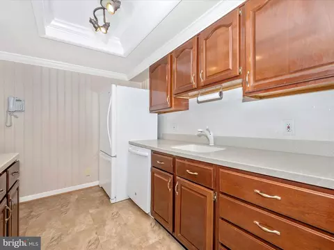 14601 Deerhurst Ter #210-B, Silver Spring, MD 20906 photo 15