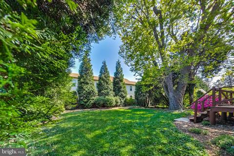 10015 Sutherland Rd, Silver Spring, MD 20901 photo 41
