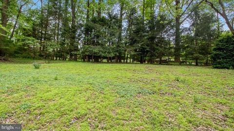 507 Apple Grove Rd, Silver Spring, MD 20904 photo 65