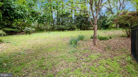 507 Apple Grove Rd, Silver Spring, MD 20904 photo 64