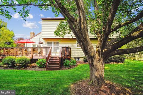 604 Avon Square Ct, Silver Spring, MD 20905 photo 4