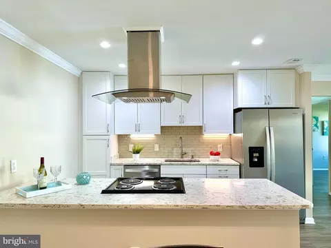 3161 Adderley Ct #249-D, Silver Spring, MD 20906 photo 12