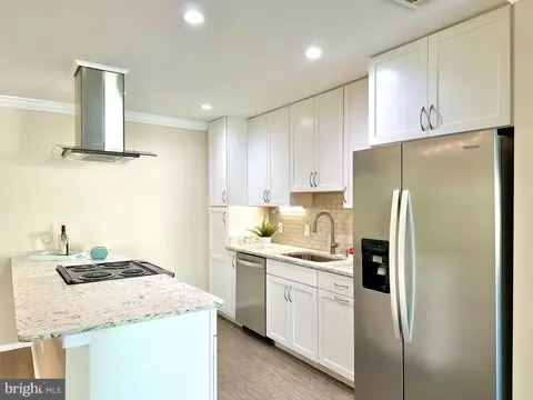 3161 Adderley Ct #249-D, Silver Spring, MD 20906 photo 13