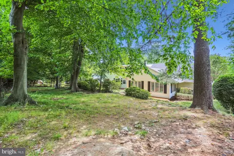 2709 Hewitt Ave, Silver Spring, MD 20906 photo 10