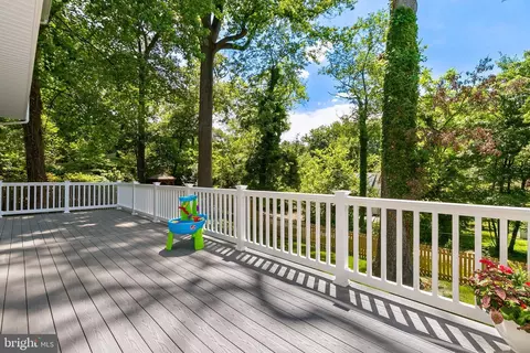 124 Woodridge Ave, Silver Spring, MD 20901 photo 60