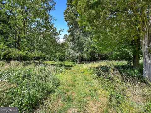 1304 Wheaton Ln, Silver Spring, MD 20902 photo 62