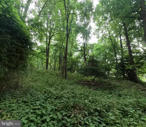 15600 Radwick Ln, Silver Spring, MD 20906 photo 11