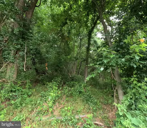 15600 Radwick Ln, Silver Spring, MD 20906 photo 12
