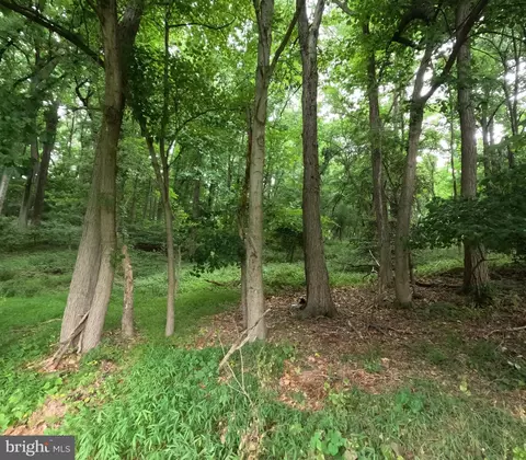 15600 Radwick Ln, Silver Spring, MD 20906 photo 16