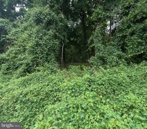 15600 Radwick Ln, Silver Spring, MD 20906 photo 13