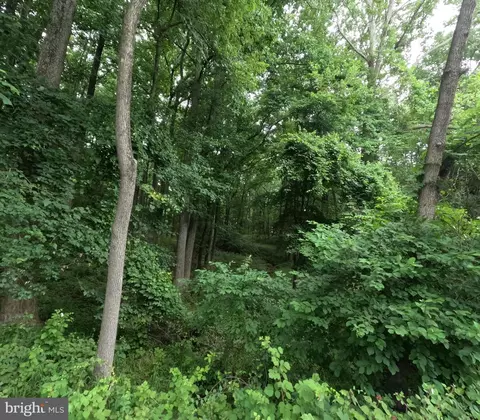 15600 Radwick Ln, Silver Spring, MD 20906 photo 15
