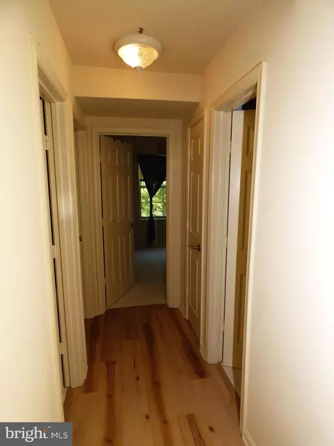 2519 Mcveary Ct #9AE, Silver Spring, MD 20906 photo 15