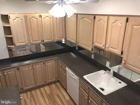 3608 Pimlico Pl #10-B, Silver Spring, MD 20906 photo 6