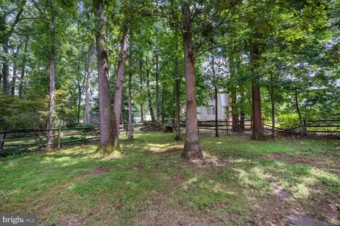 15519 Langside St, Silver Spring, MD 20905 photo 22