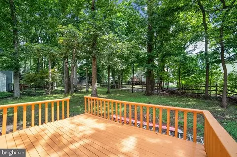 15519 Langside St, Silver Spring, MD 20905 photo 14