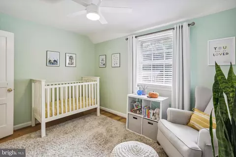 9918 Big Rock Rd, Silver Spring, MD 20901 photo 20