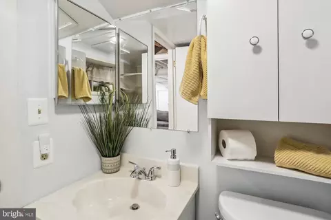 9918 Big Rock Rd, Silver Spring, MD 20901 photo 30