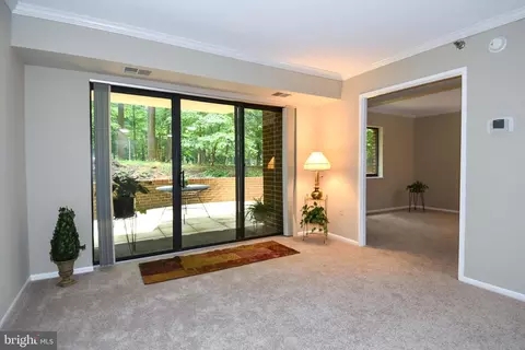15115 Interlachen Dr #3-120, Silver Spring, MD 20906 photo 5