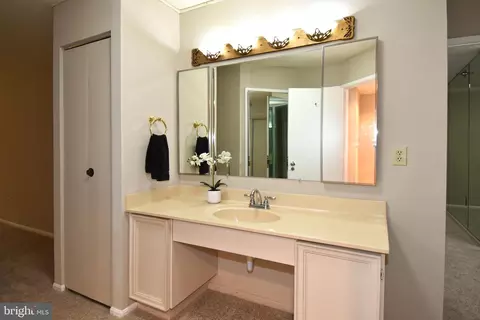 15115 Interlachen Dr #3-120, Silver Spring, MD 20906 photo 31