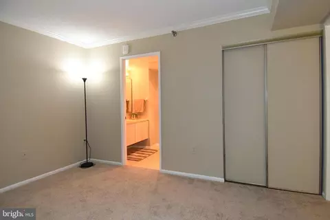 15115 Interlachen Dr #3-120, Silver Spring, MD 20906 photo 21