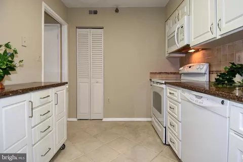 15115 Interlachen Dr #3-120, Silver Spring, MD 20906 photo 16