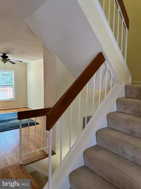 10904 Pebble Run Dr, Silver Spring, MD 20902 photo 13