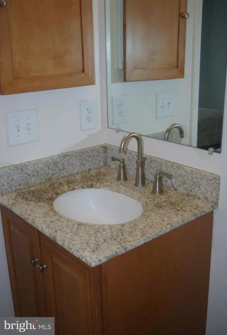  10510 Pennydog Ln, Silver Spring, MD 20902 photo 10