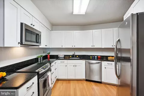 15115 Interlachen Dr #3-103, Silver Spring, MD 20906 photo 16