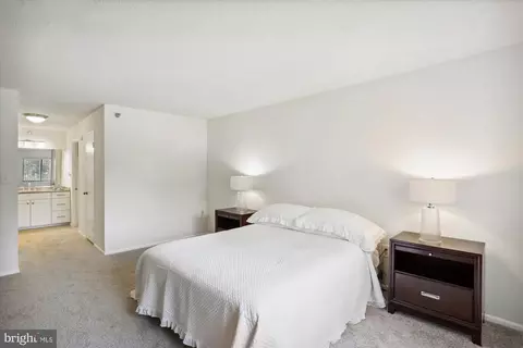 15115 Interlachen Dr #3-103, Silver Spring, MD 20906 photo 28