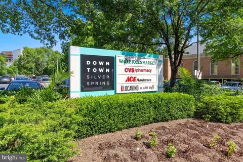 523 Ashford Rd, Silver Spring, MD 20910 photo 35