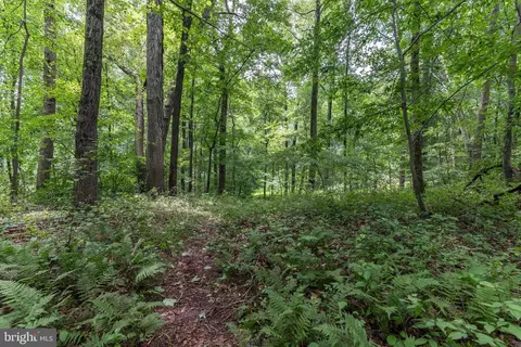 29 Castle Cliff Ct, Silver Spring, MD 20904 photo 64
