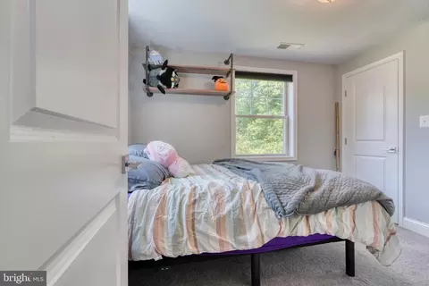 1011 Hollywood Ave, Silver Spring, MD 20904 photo 18