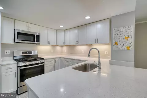 1011 Hollywood Ave, Silver Spring, MD 20904 photo 5
