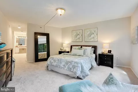 15107 Interlachen Dr #2-804, Silver Spring, MD 20906 photo 15