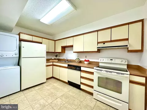 15100 Interlachen Dr #108, Silver Spring, MD 20906 photo 17