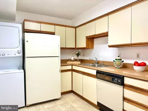 15100 Interlachen Dr #108, Silver Spring, MD 20906 photo 19