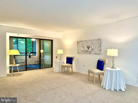 15100 Interlachen Dr #108, Silver Spring, MD 20906 photo 2
